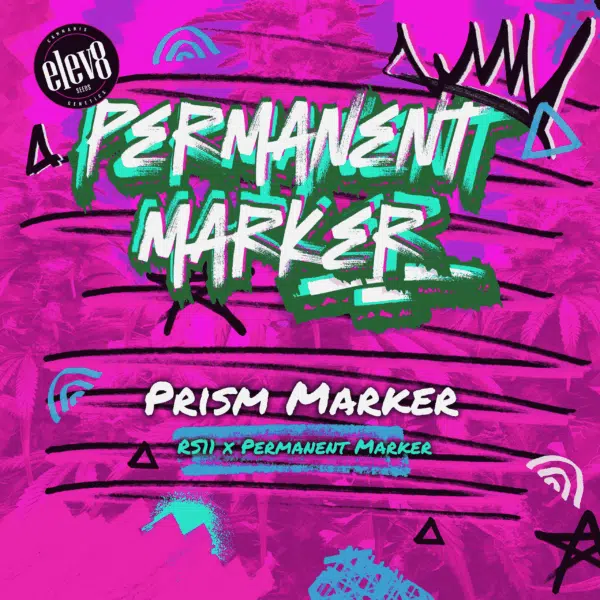 Prism Marker feminizada de Elev8 Seeds
