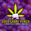 Sour Grape Punch feminizada de Elev8 Seeds
