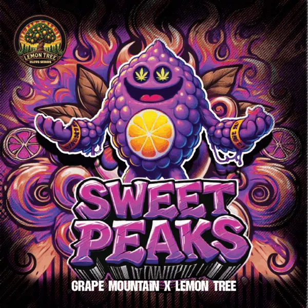 Sweet Peaks feminizada de Elev8 Seeds