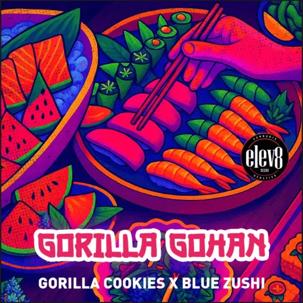 Gorilla Gohan feminizada de Elev8 Seeds