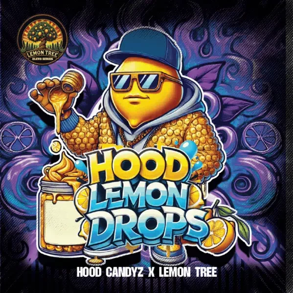 Hood Lemon Drops feminizada de Elev8 Seeds