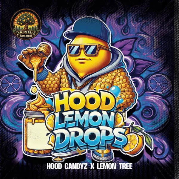 Hood Lemon Drops feminizada de Elev8 Seeds