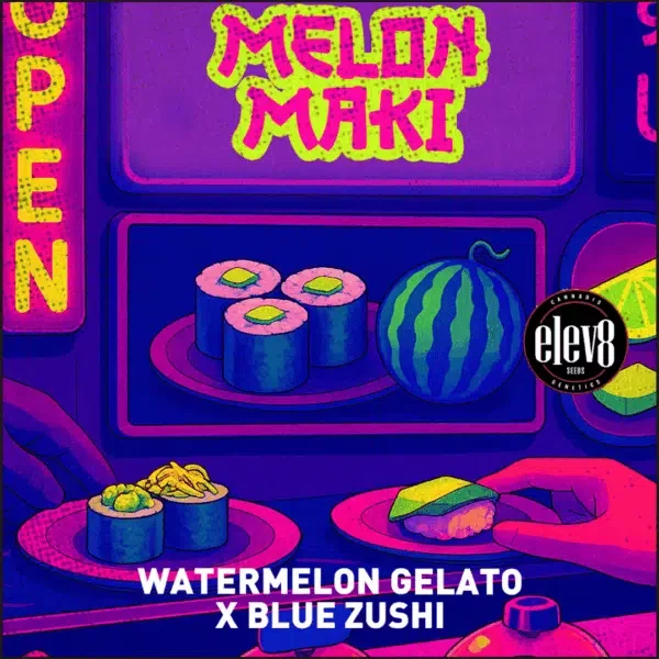 Melon Maki feminizada de Elev8 Seeds