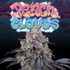Peach Clouds feminizada de Perfect Tree