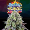 Rainbow Triangle feminizada de Perfect Tree