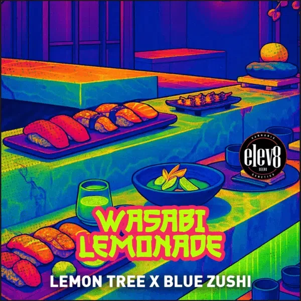 Wasabi Lemonade feminizada de Elev8 Seeds