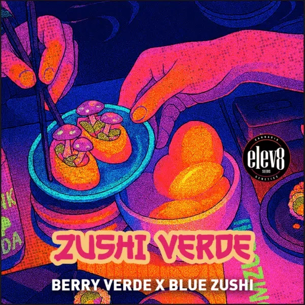 Zushi Verde feminizada de Elev8 Seeds