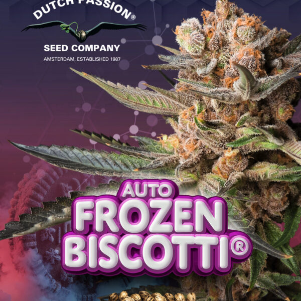 Auto Frozen Biscotti de Dutch Passion