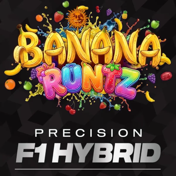 Banana Runtz feminizada de Barney’s Farm
