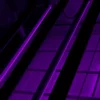 Barras suplementarias Led UV Twins de Agrolite 2x22W