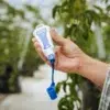 pH ProbePlus de Bluelab Recambio de sonda de pH