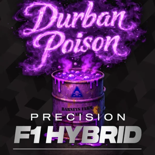 Durban Poison feminizada de Barney’s Farm