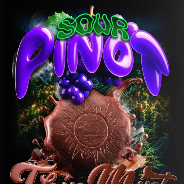 Thin Mint x Sour Pinot Auto de Barney’s Farm