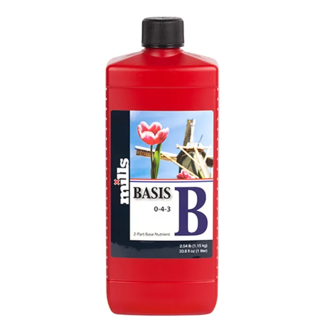 Basis B de Mills