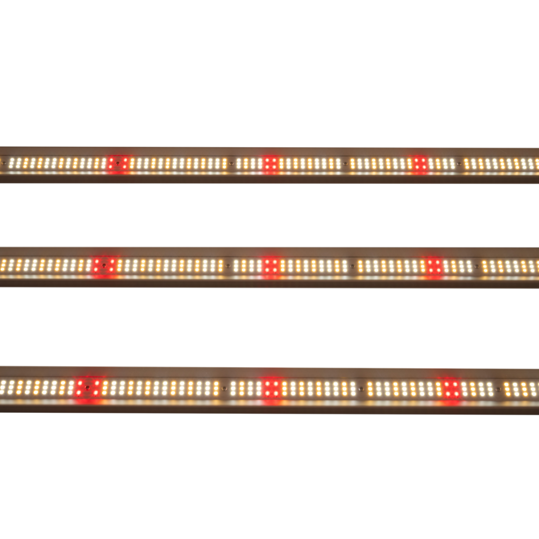 LED Aura Pro 1000 W de Solux
