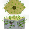 Gotero Dart Dripper de FloraFlex