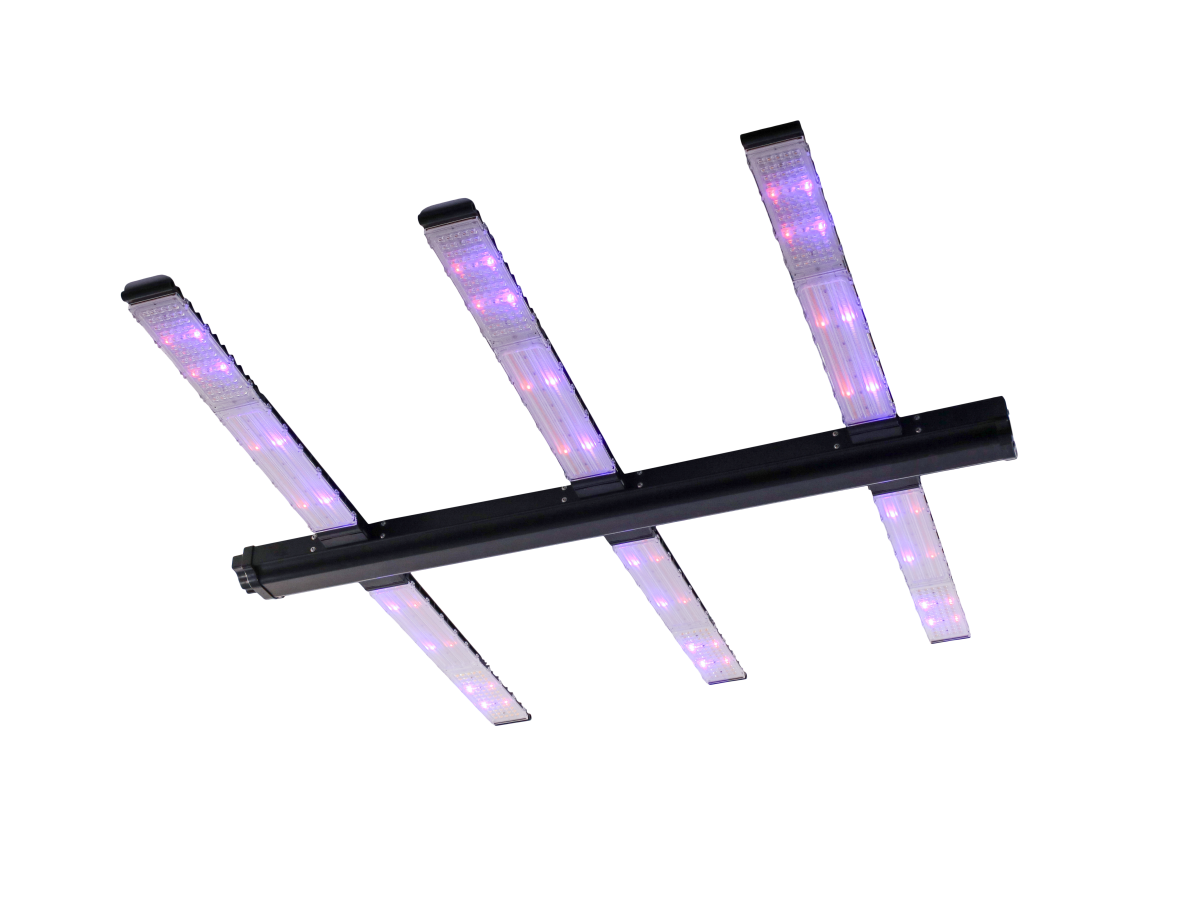 LED Galaxy PRO 640 W UVFR de Solux