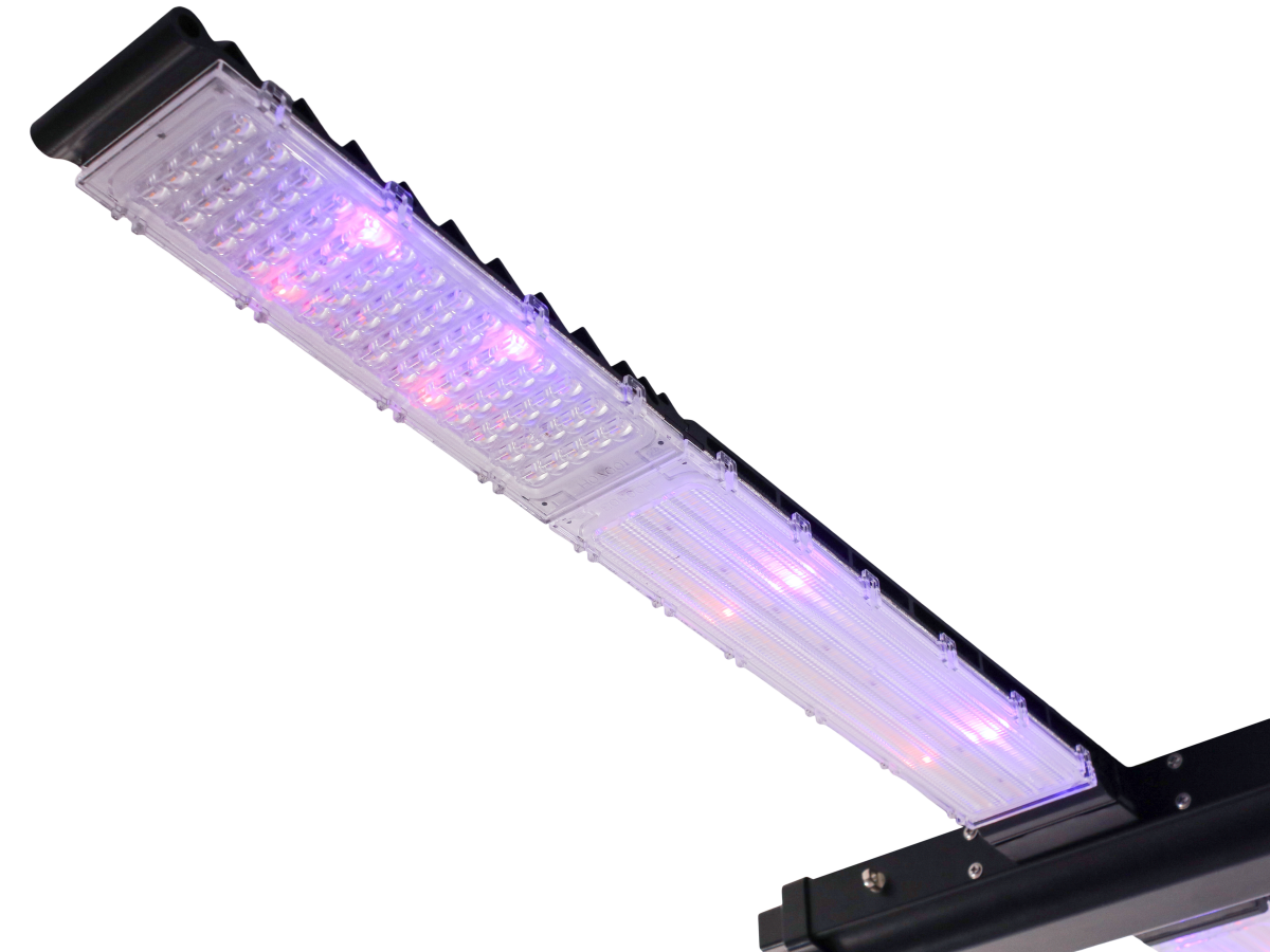 LED Galaxy PRO 640 W UVFR de Solux