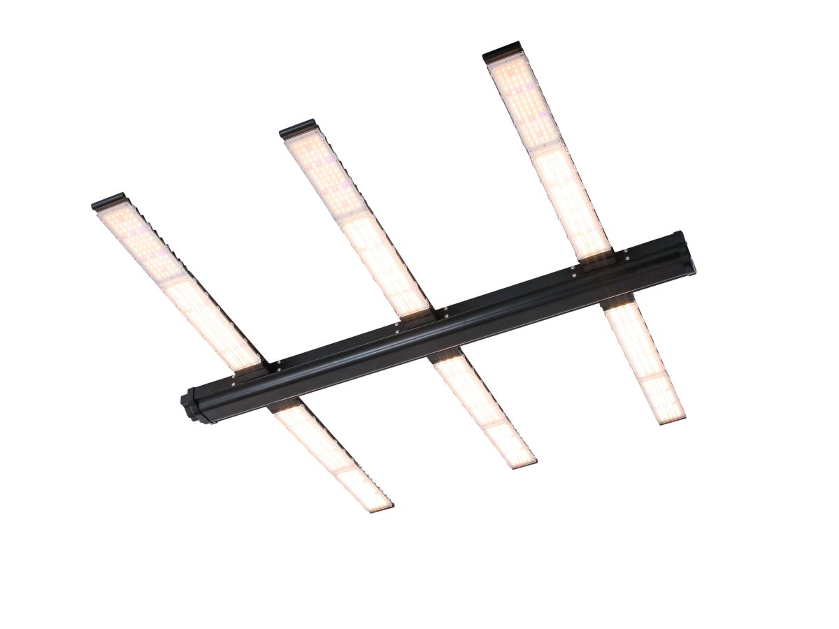 LED Galaxy PRO 640 W UVFR de Solux