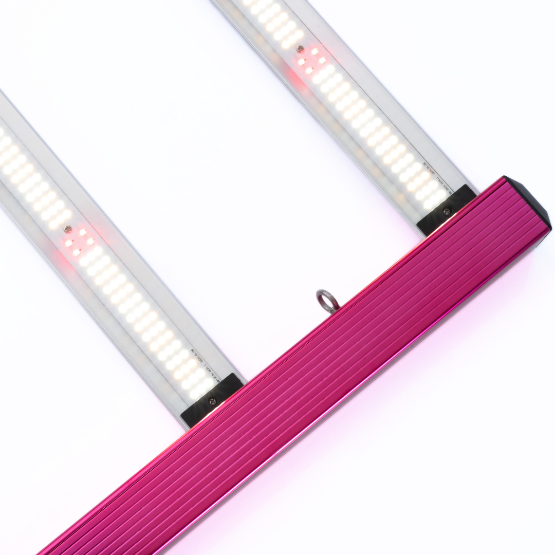 LED Aura Pro 3.2 720 W de Solux
