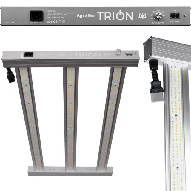 LED Trion 300W 3.1 de Agrolite