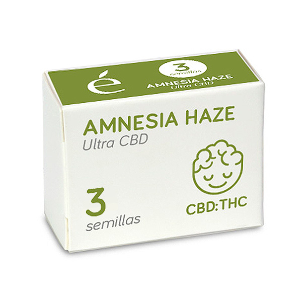 Amnesia Haze Ultra CBD feminizada de Elite Seeds