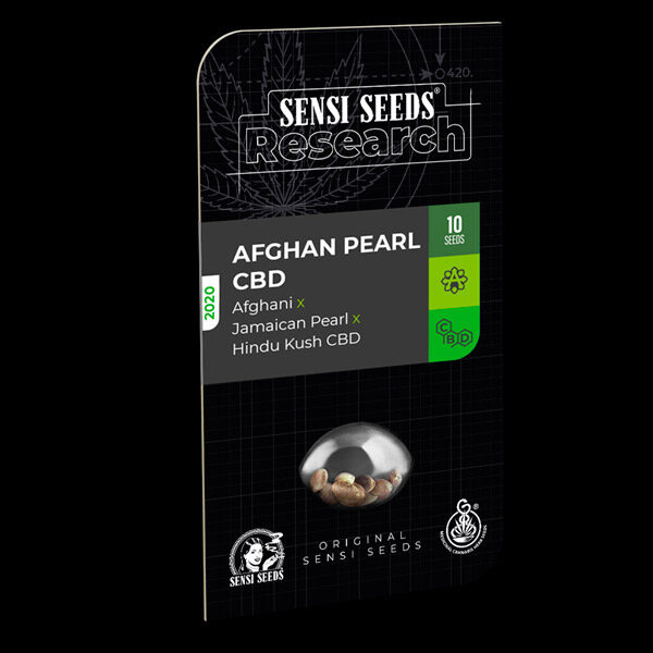 Afghan Pearl CBD Auto de Sensi Seeds Research