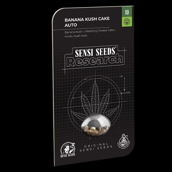 Banana Kush Cake Auto de Sensi Seeds