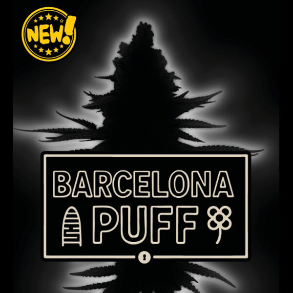 Barcelona Puff Auto de Seedstockers