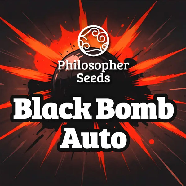 Black Bomb Auto de Philosopher