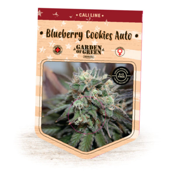Blueberry Cookies Auto de Garden Of Green Seeds