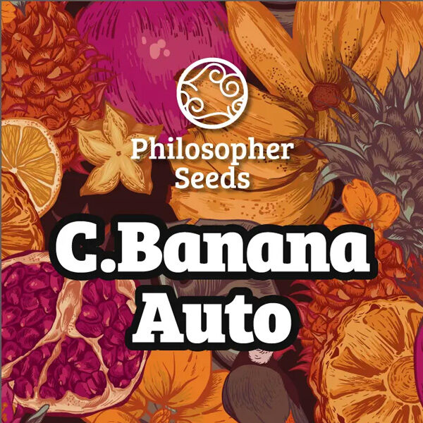 Chiquita Banana Auto de Philosopher