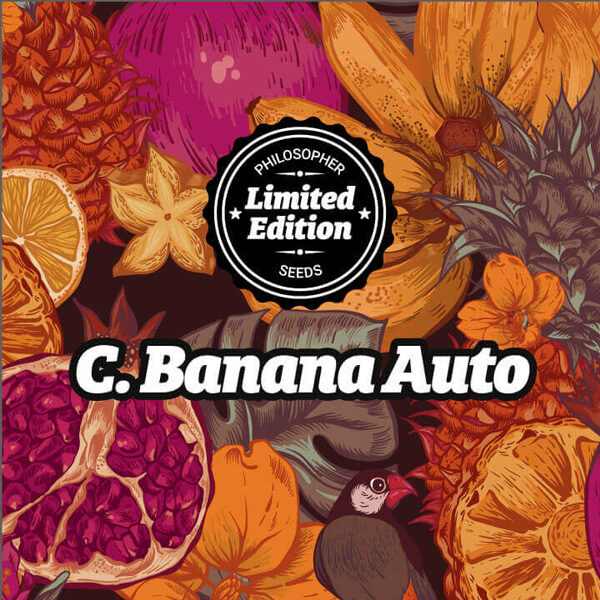 Chiquita Banana Ed Auto de Philosopher