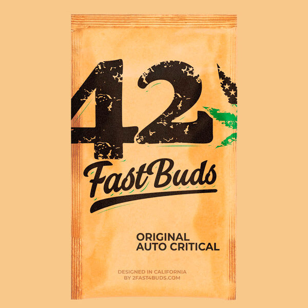 Critical Auto de Fast Buds