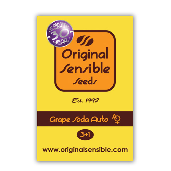 Grape Soda Auto de Original Sensible Seeds