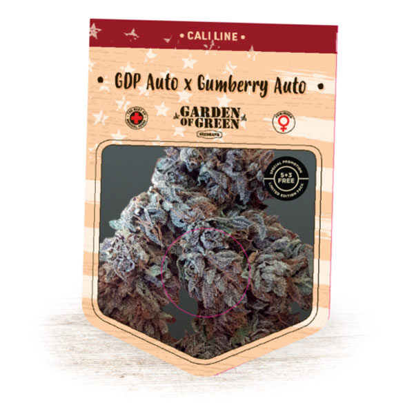 Gumberries Gdp Auto de Garden Of Green Seeds