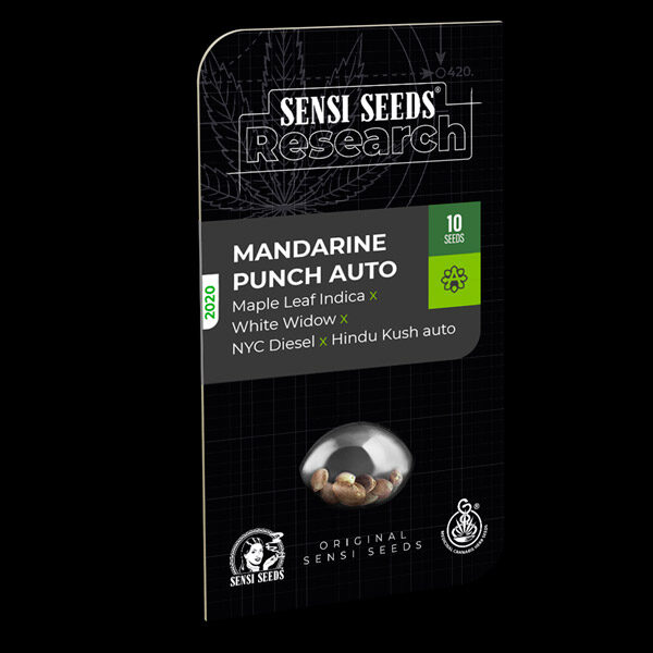 Mandarine Punch Auto de Sensi Seeds Research