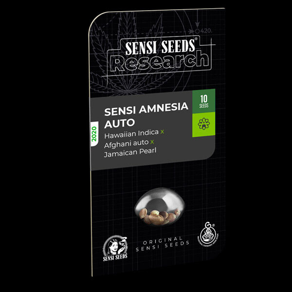 Sensi Amnesia Auto de Sensi Seeds Research