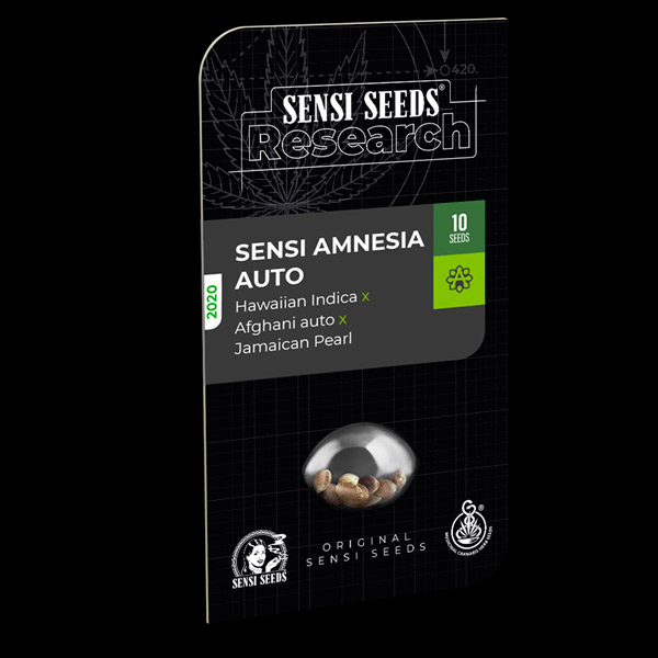 Sensi Amnesia Auto de Sensi Seeds Research