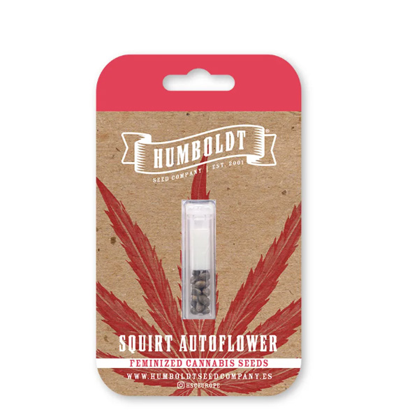 Squirt Auto de Humboldt Seeds Company