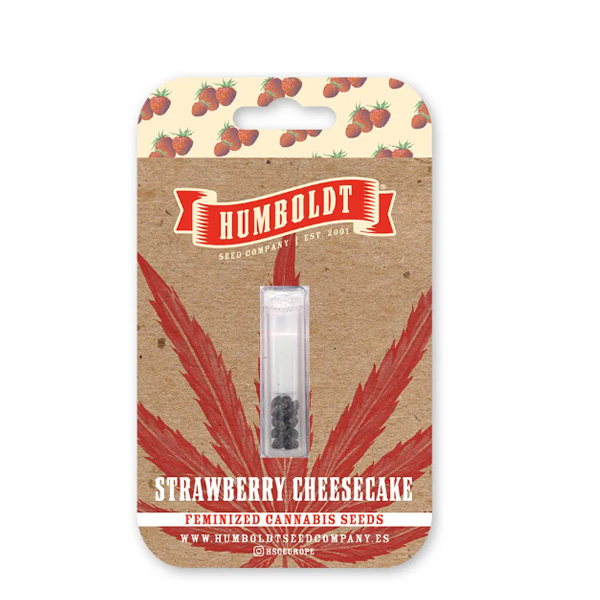 Strawberry Cheesecake Auto de Humboldt Seeds Company