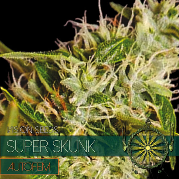 Super Skunk Auto de Vision Seeds