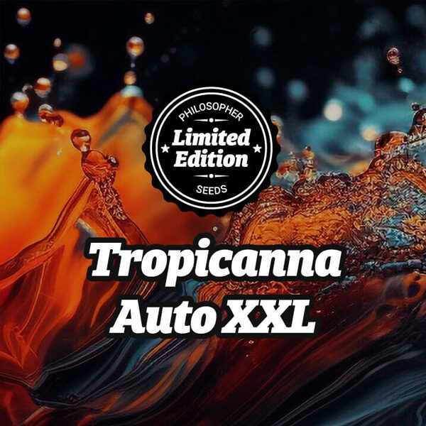 Tropicanna XXL Ed Auto de Philosopher
