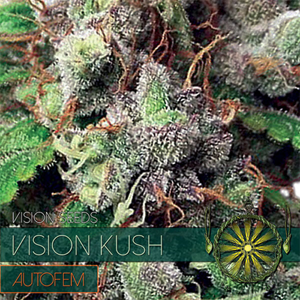 Vision Kush Auto de Vision Seeds