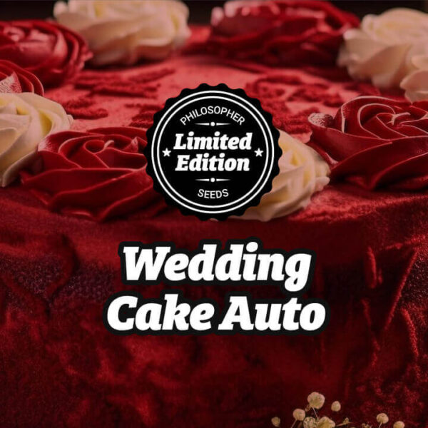 Wedding Cake Auto de Philosopher