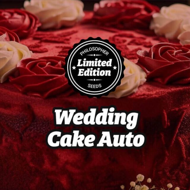 Wedding Cake Auto de Philosopher