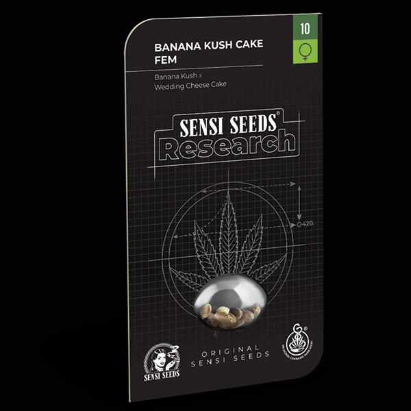 Banana Kush Cake feminizada de Sensi Seeds Research
