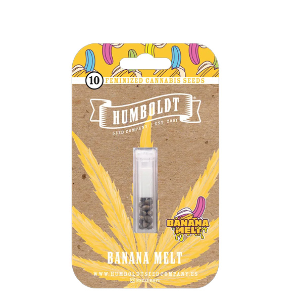 Banana Melt feminizada de Humboldt Seeds Company