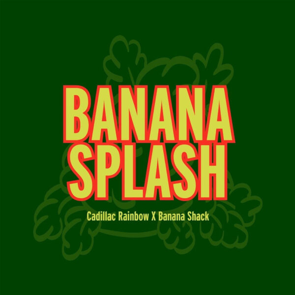 Banana Splash feminizada de Grand Cru Genetics