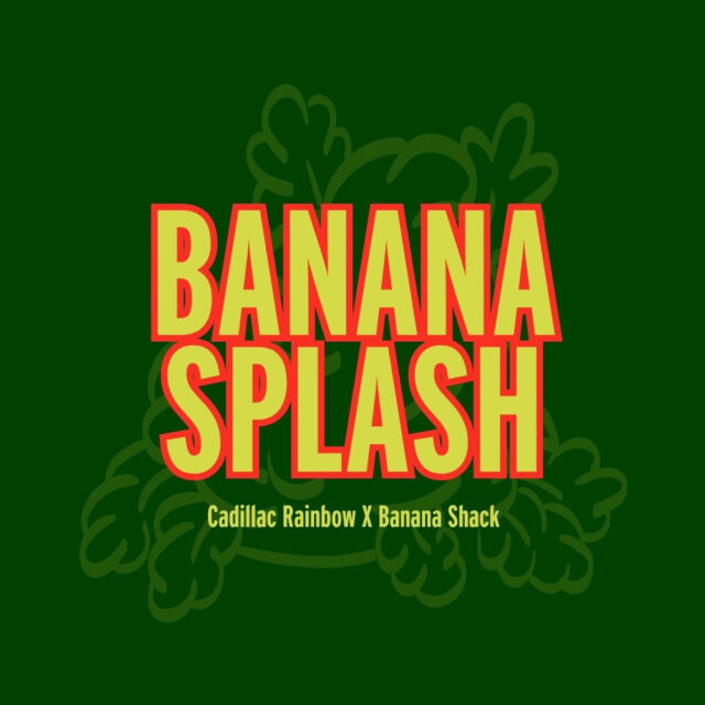 Banana Splash feminizada de Grand Cru Genetics